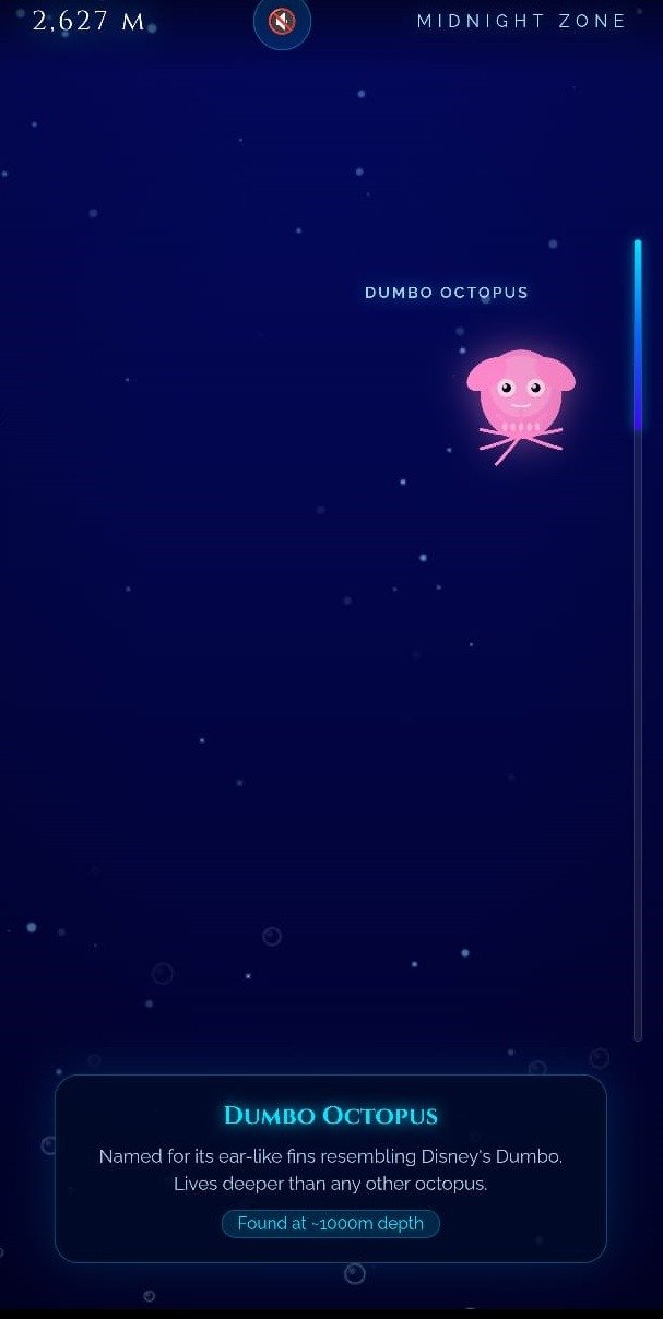 Deep Sea Explorer