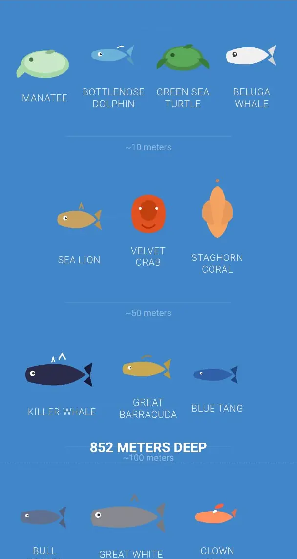 Explore Ocean